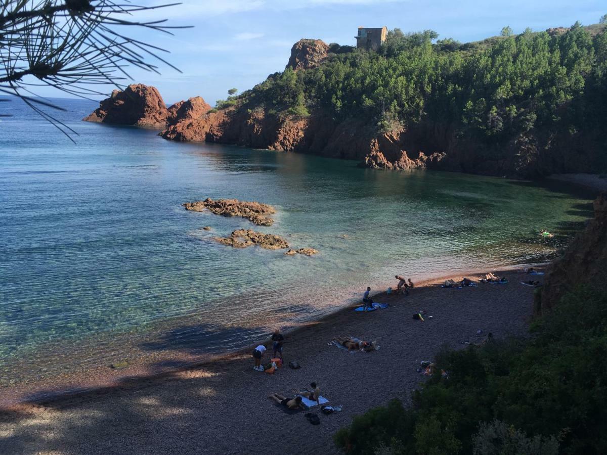 "Les Alizes" Cote Jardin Proche Bord De Mer Saint-Raphaël 외부 사진