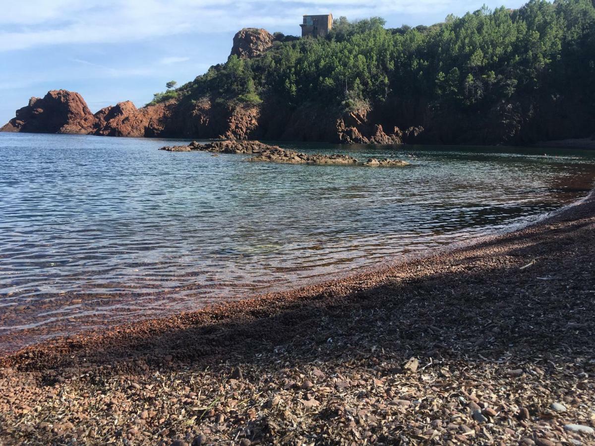 "Les Alizes" Cote Jardin Proche Bord De Mer Saint-Raphaël 외부 사진