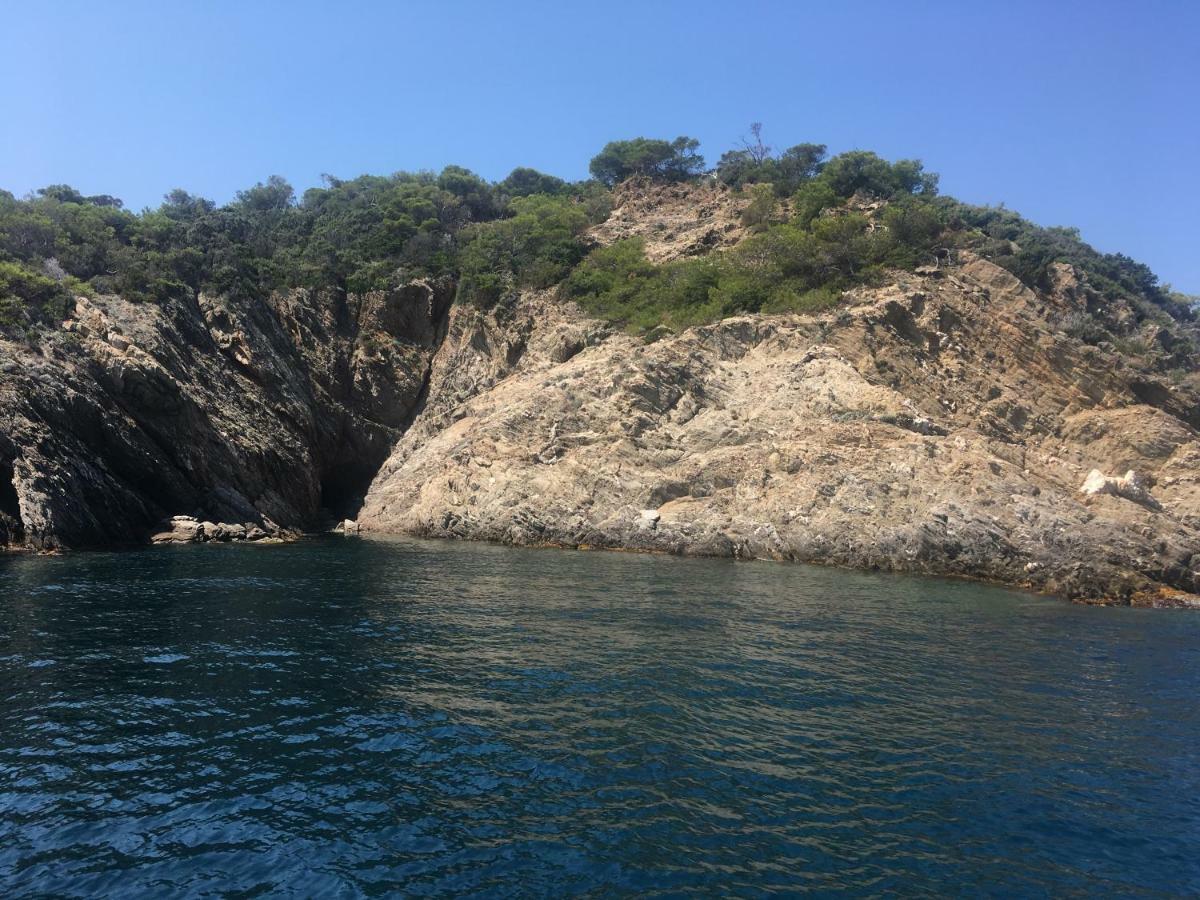 "Les Alizes" Cote Jardin Proche Bord De Mer Saint-Raphaël 외부 사진