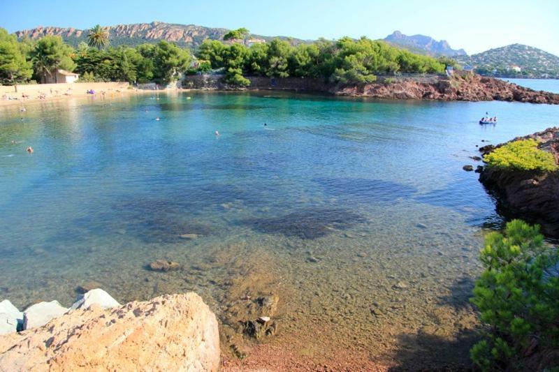 "Les Alizes" Cote Jardin Proche Bord De Mer Saint-Raphaël 외부 사진